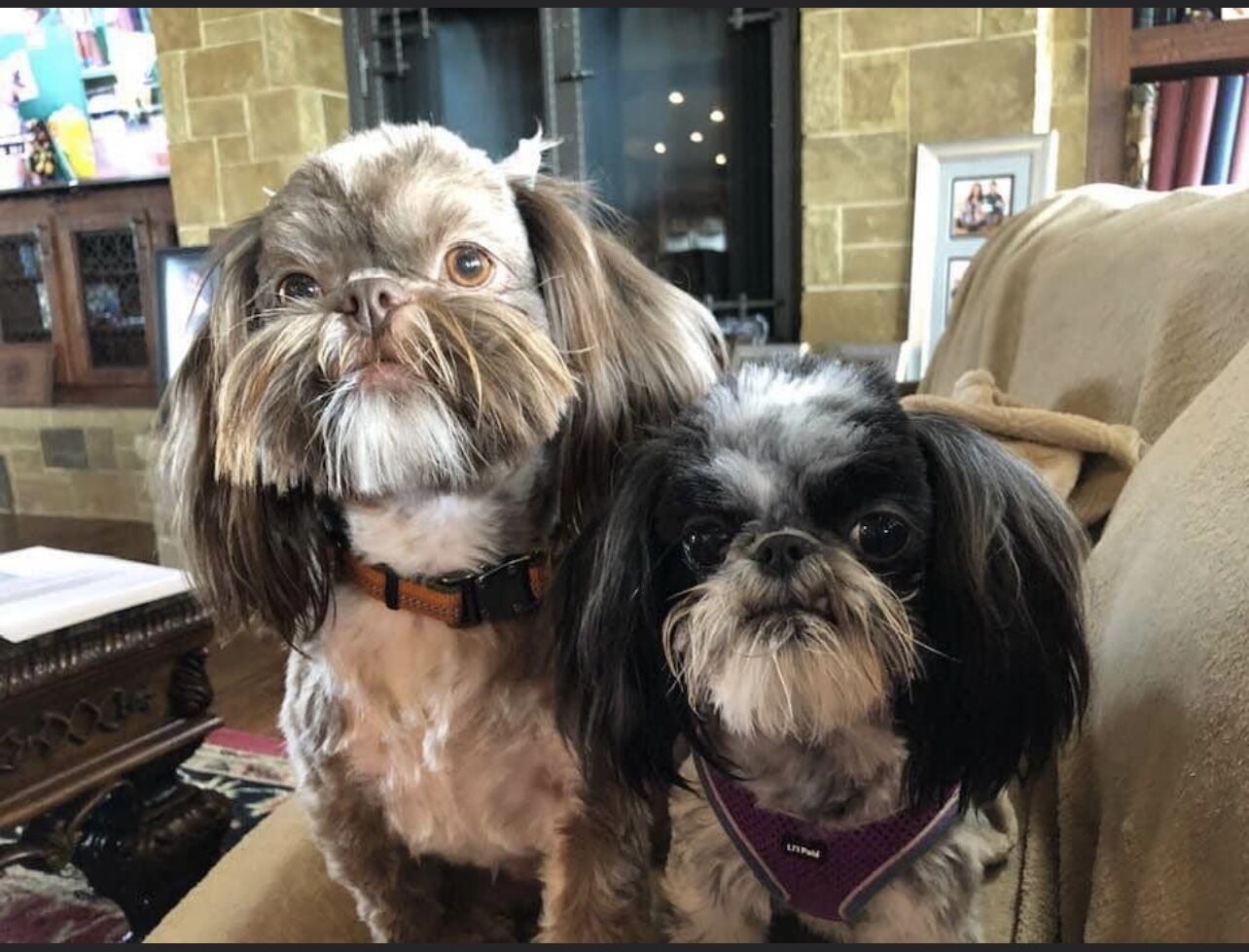 10. Buster and Sissy